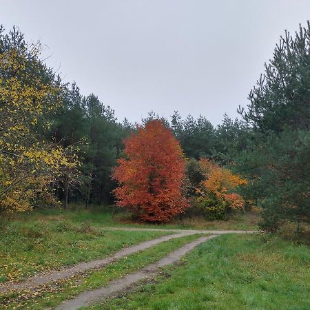 Agroturystyka Lesna Babka Jastrowie Exteriér fotografie