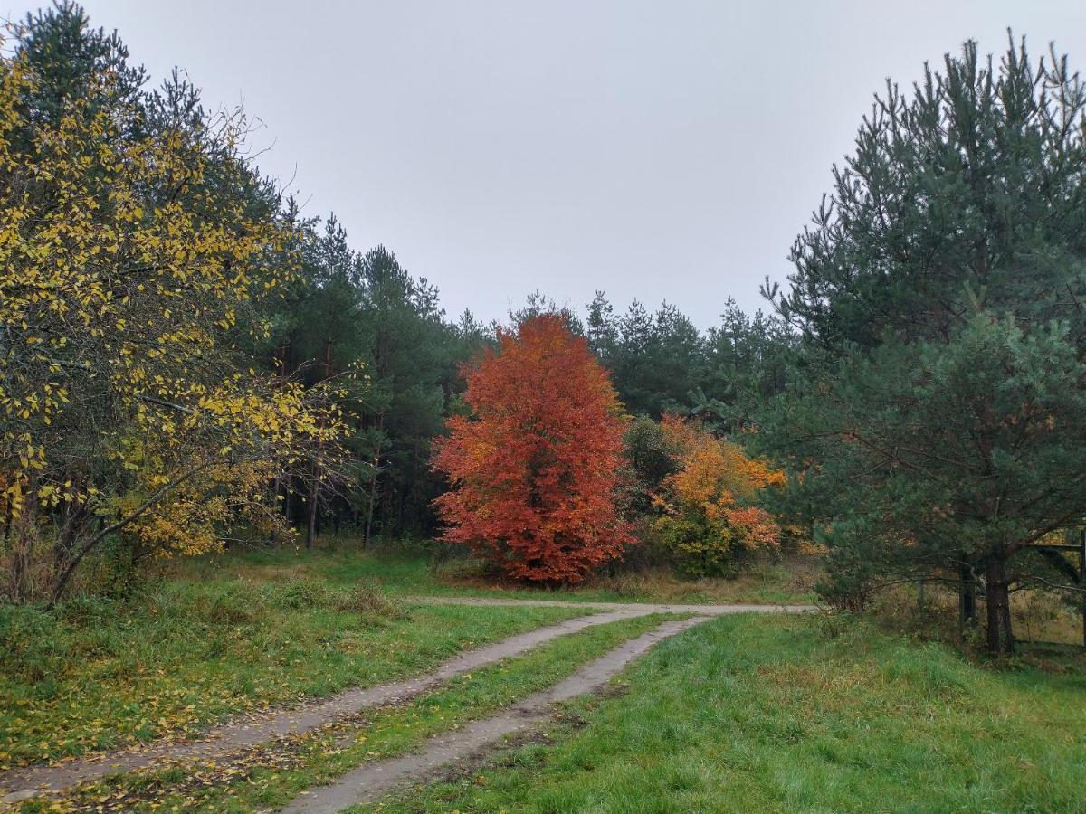 Agroturystyka Lesna Babka Jastrowie Exteriér fotografie